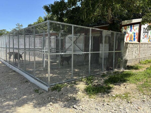 Structure pour des boxes ext&eacute;rieurs pour une pension canine
