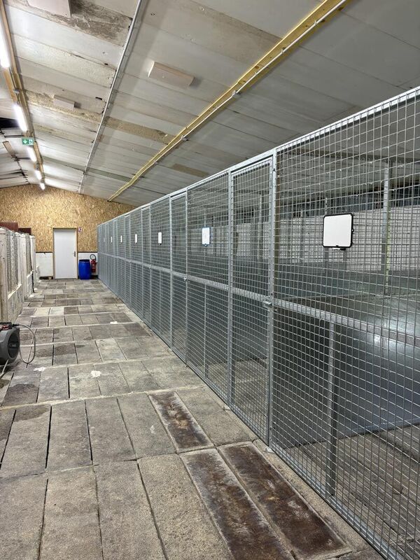Structure pour des boxes interieurs pour une pension canine